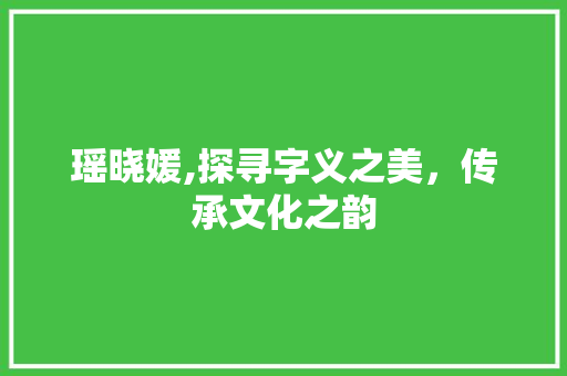 瑶晓媛,探寻字义之美，传承文化之韵