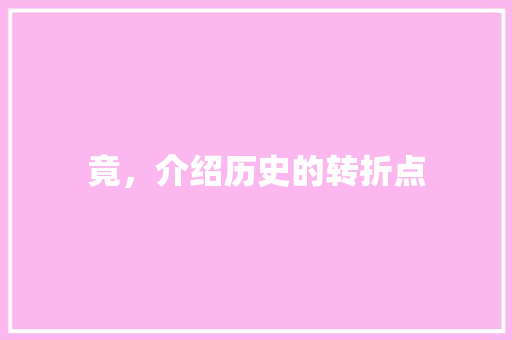 竟，介绍历史的转折点