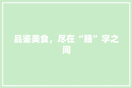 品鉴美食，尽在“膳”字之间