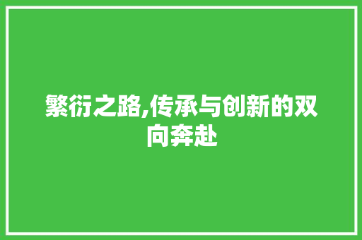 繁衍之路,传承与创新的双向奔赴