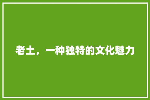 老土，一种独特的文化魅力