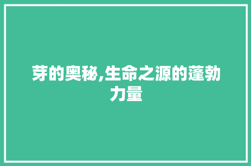 芽的奥秘,生命之源的蓬勃力量