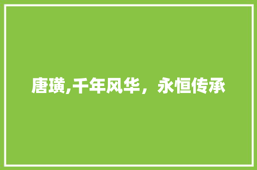 唐璜,千年风华，永恒传承
