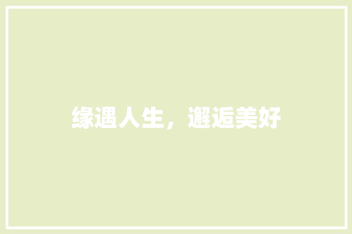 缘遇人生，邂逅美好