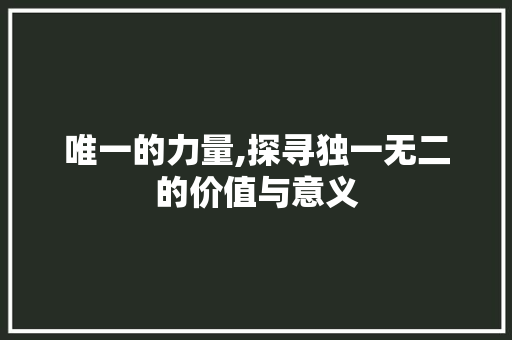 唯一的力量,探寻独一无二的价值与意义