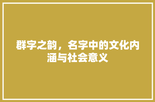 群字之韵，名字中的文化内涵与社会意义