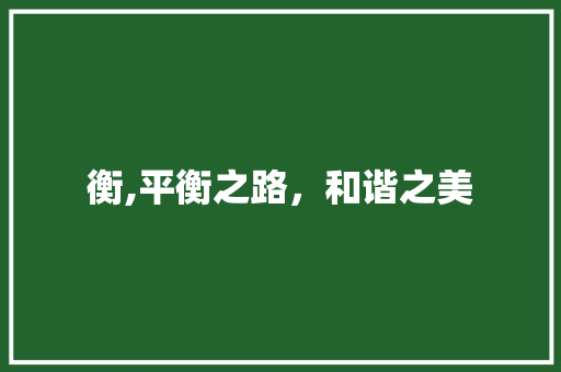 衡,平衡之路，和谐之美