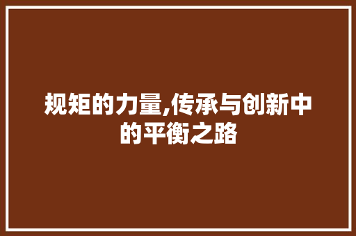 规矩的力量,传承与创新中的平衡之路