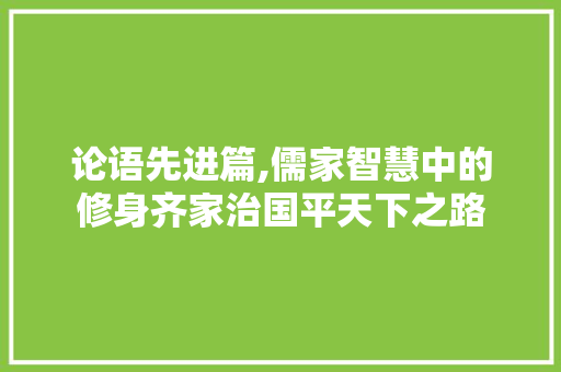 论语先进篇,儒家智慧中的修身齐家治国平天下之路