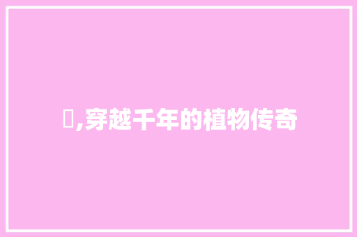 苧,穿越千年的植物传奇