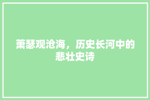 萧瑟观沧海，历史长河中的悲壮史诗