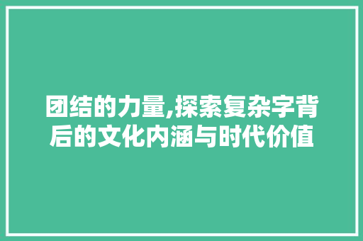 团结的力量,探索复杂字背后的文化内涵与时代价值