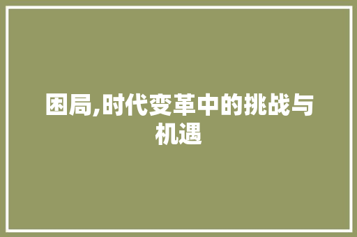 困局,时代变革中的挑战与机遇