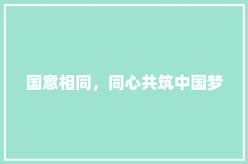 国意相同，同心共筑中国梦