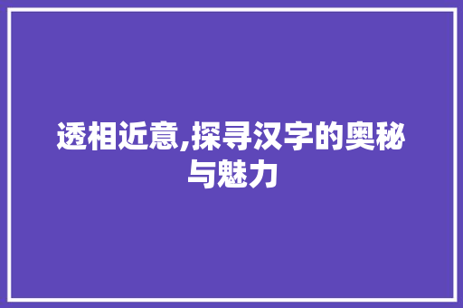 透相近意,探寻汉字的奥秘与魅力