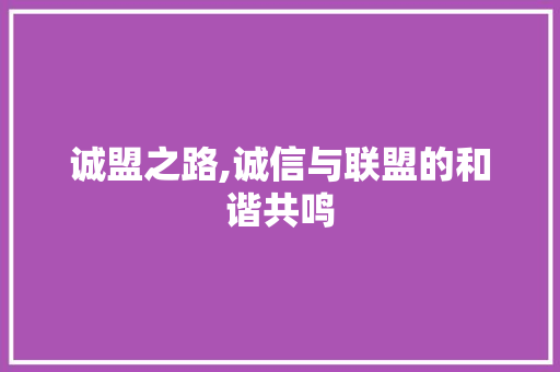 诚盟之路,诚信与联盟的和谐共鸣