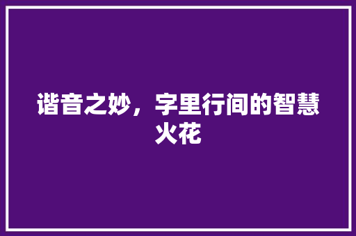 谐音之妙，字里行间的智慧火花