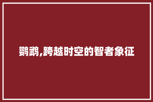 鹦鹉,跨越时空的智者象征