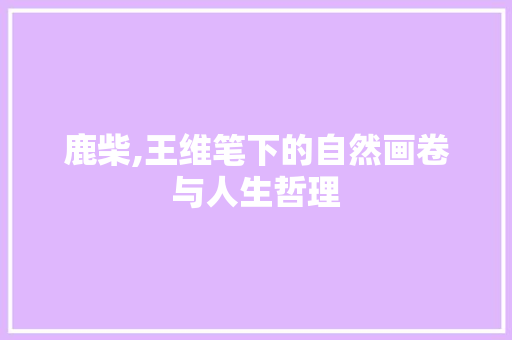 鹿柴,王维笔下的自然画卷与人生哲理