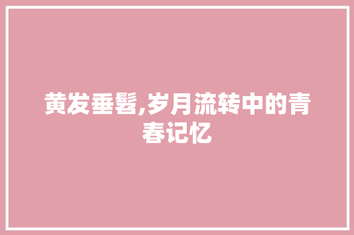 黄发垂髫,岁月流转中的青春记忆