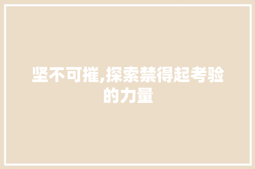 坚不可摧,探索禁得起考验的力量