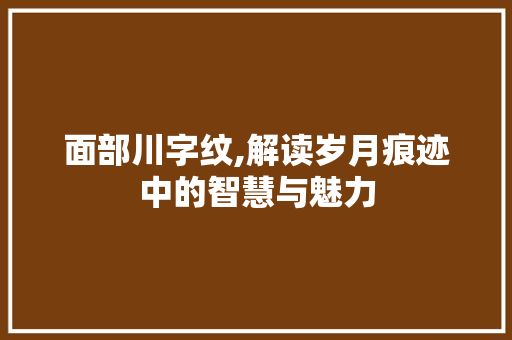 面部川字纹,解读岁月痕迹中的智慧与魅力