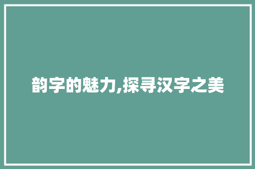 韵字的魅力,探寻汉字之美