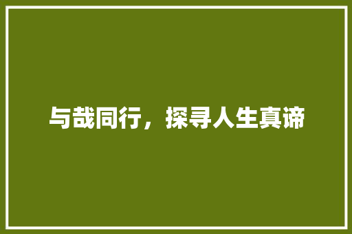 与哉同行，探寻人生真谛