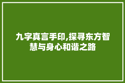 九字真言手印,探寻东方智慧与身心和谐之路
