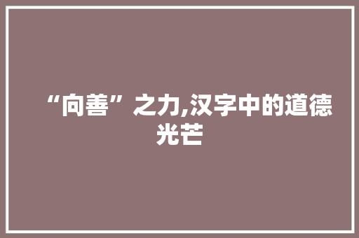“向善”之力,汉字中的道德光芒