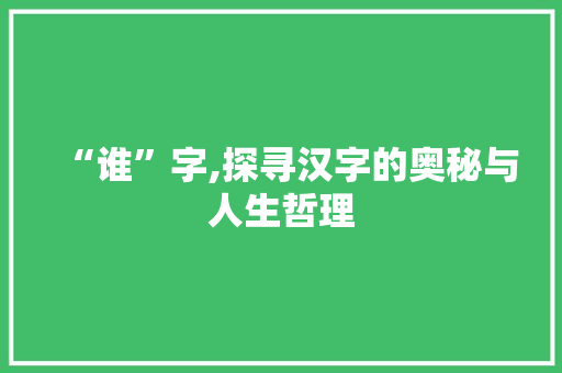 “谁”字,探寻汉字的奥秘与人生哲理