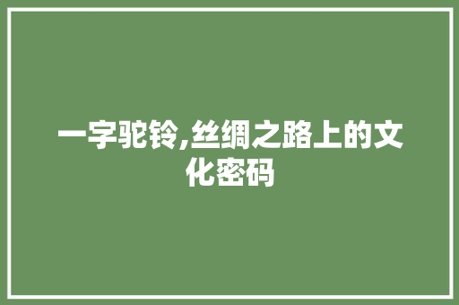 一字驼铃,丝绸之路上的文化密码
