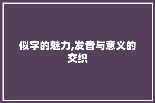 似字的魅力,发音与意义的交织
