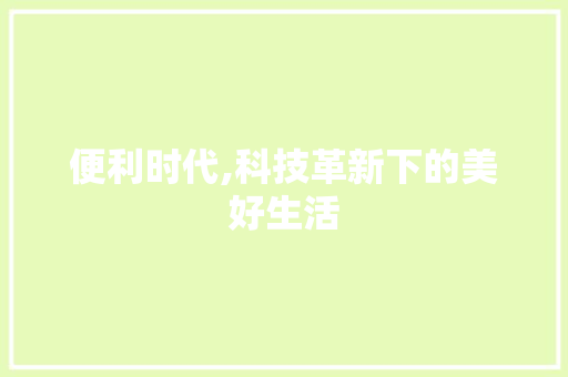 便利时代,科技革新下的美好生活