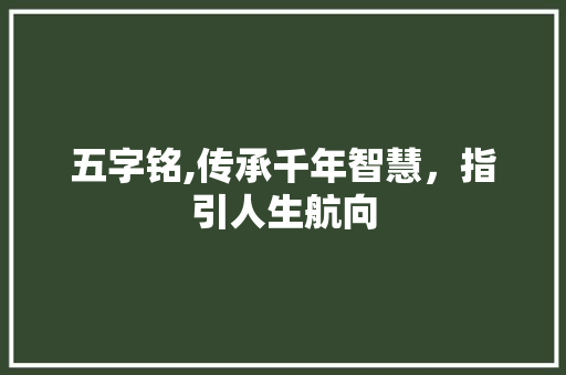 五字铭,传承千年智慧,指引人生航向