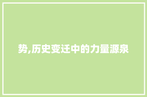 势,历史变迁中的力量源泉