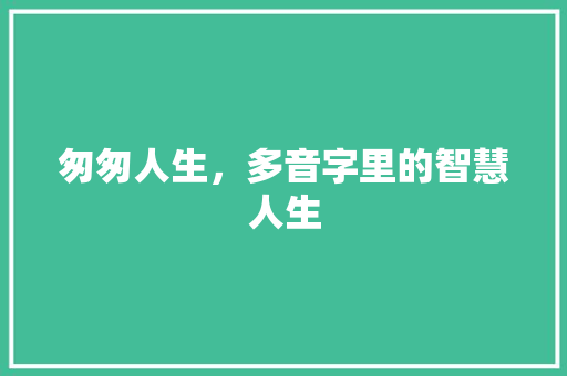 匆匆人生，多音字里的智慧人生