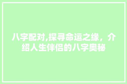 八字配对,探寻命运之缘，介绍人生伴侣的八字奥秘