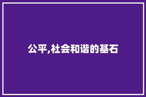 公平,社会和谐的基石