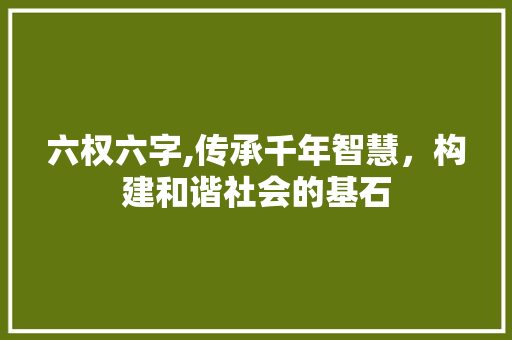 六权六字,传承千年智慧,构建和谐社会的基石