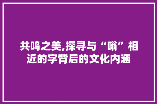共鸣之美,探寻与“嗡”相近的字背后的文化内涵
