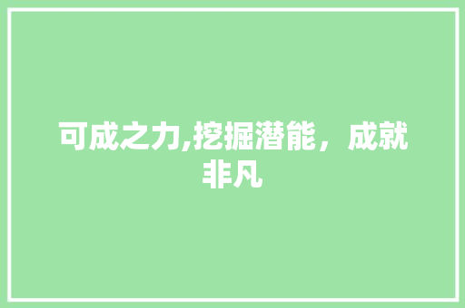 可成之力,挖掘潜能,成就非凡