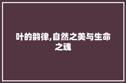 叶的韵律,自然之美与生命之魂