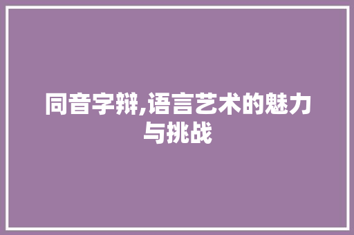 同音字辩,语言艺术的魅力与挑战