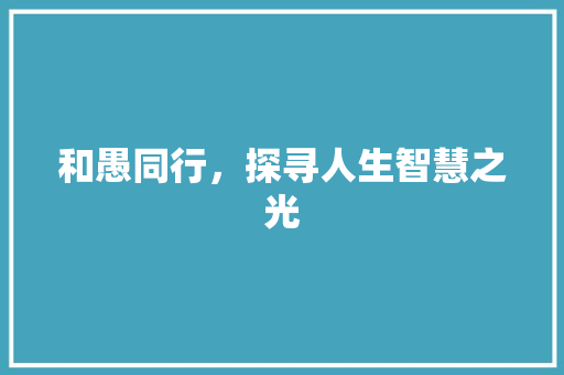 和愚同行，探寻人生智慧之光
