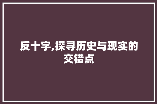 反十字,探寻历史与现实的交错点