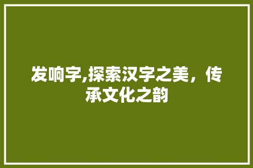 发响字,探索汉字之美，传承文化之韵