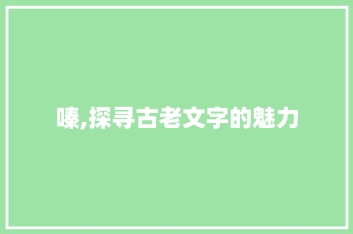 嗪,探寻古老文字的魅力