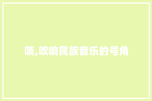 唢,吹响民族音乐的号角