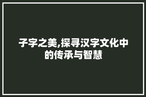 子字之美,探寻汉字文化中的传承与智慧